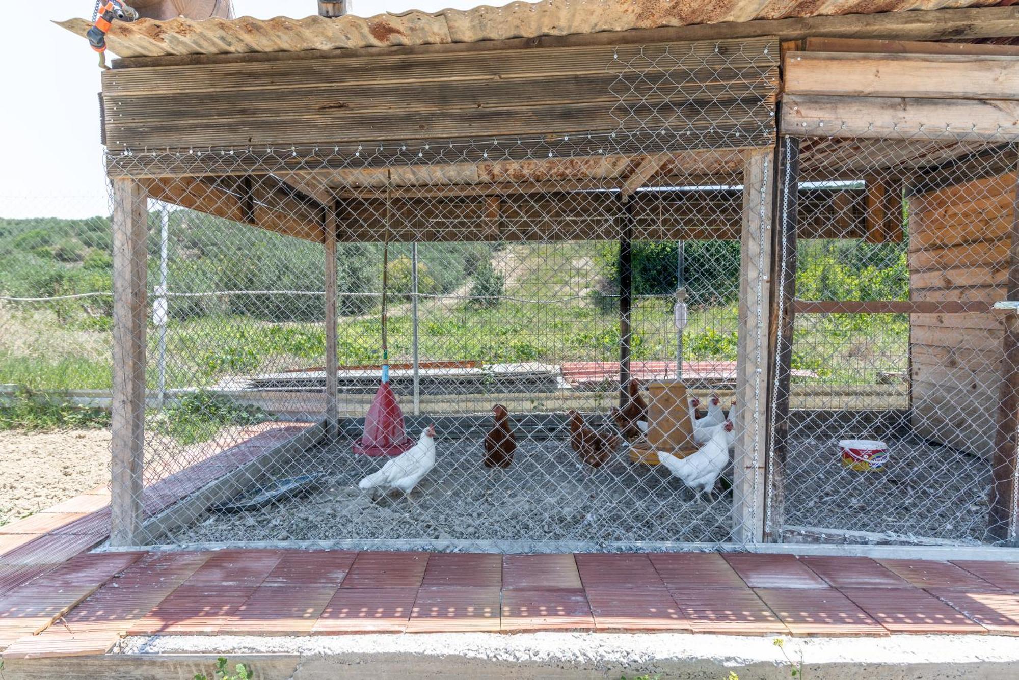Countryhouse Villa With Pool & Private Parking Heraklion Exterior foto